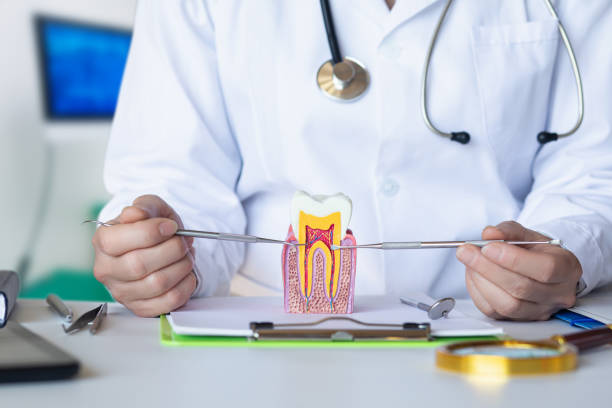 Best Emergency Tooth Extraction in Ford City, PA